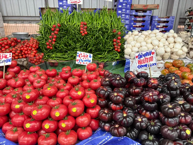 Tomates que saben a tomate y quesos que saben a campo: la ruta de los productores locales del litoral mediterráneo